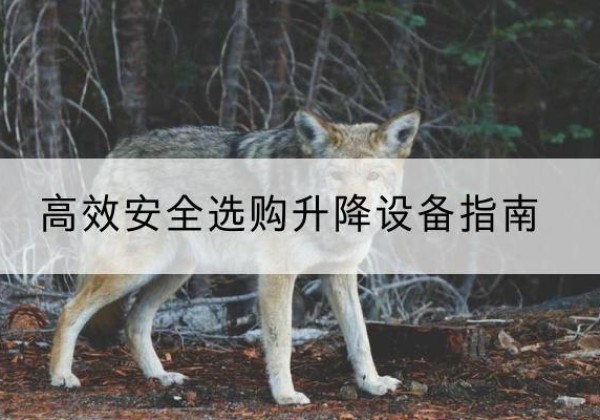 澄城升降货梯厂家推荐-*安全选购升降设备指南