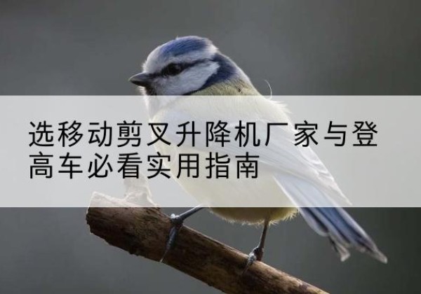 澄城电动升降机厂家-选移动剪叉升降机厂家与登高车必看实用指南